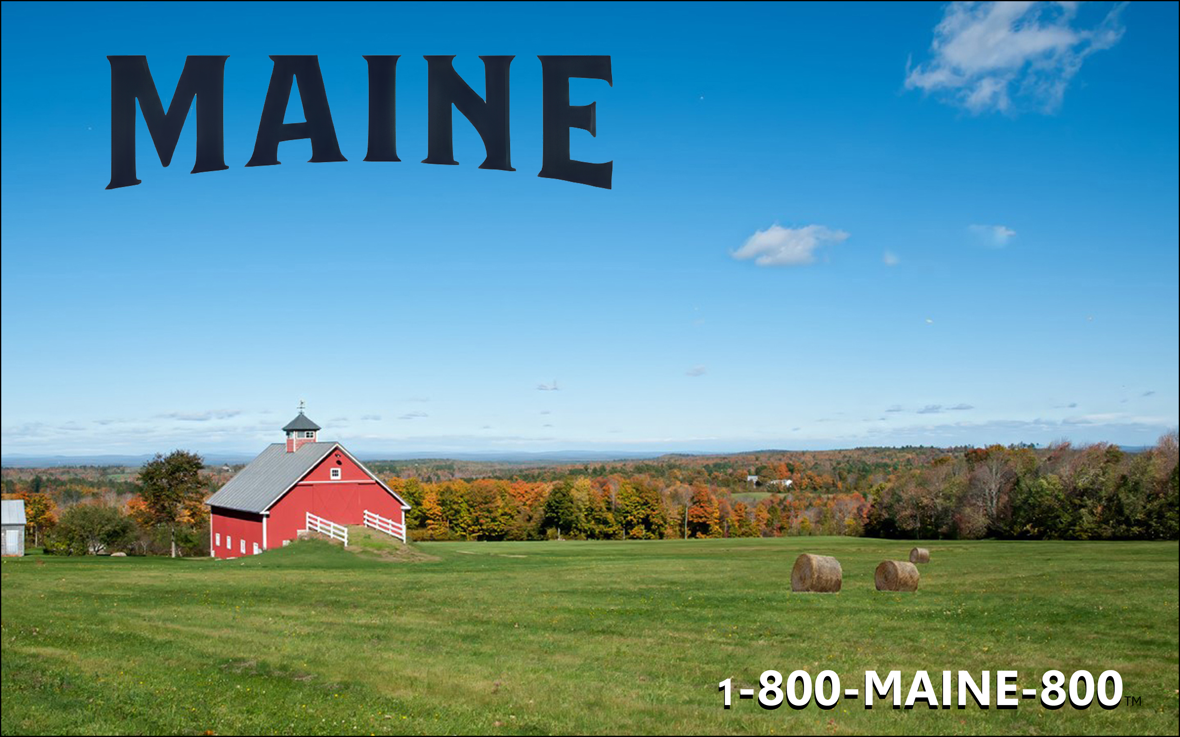 800-maine-800 Spring/Summer